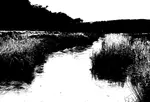 Composition: Notans, Value Studies, and Compositional Armatures with Marguerite Lawler