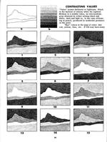 Mastering Composition: Notans, Value Studies, and Compositional Armatures with Marguerite Lawler 
