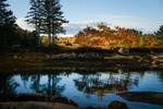 Autumn Light, Online Hybrid with Deb Dawson